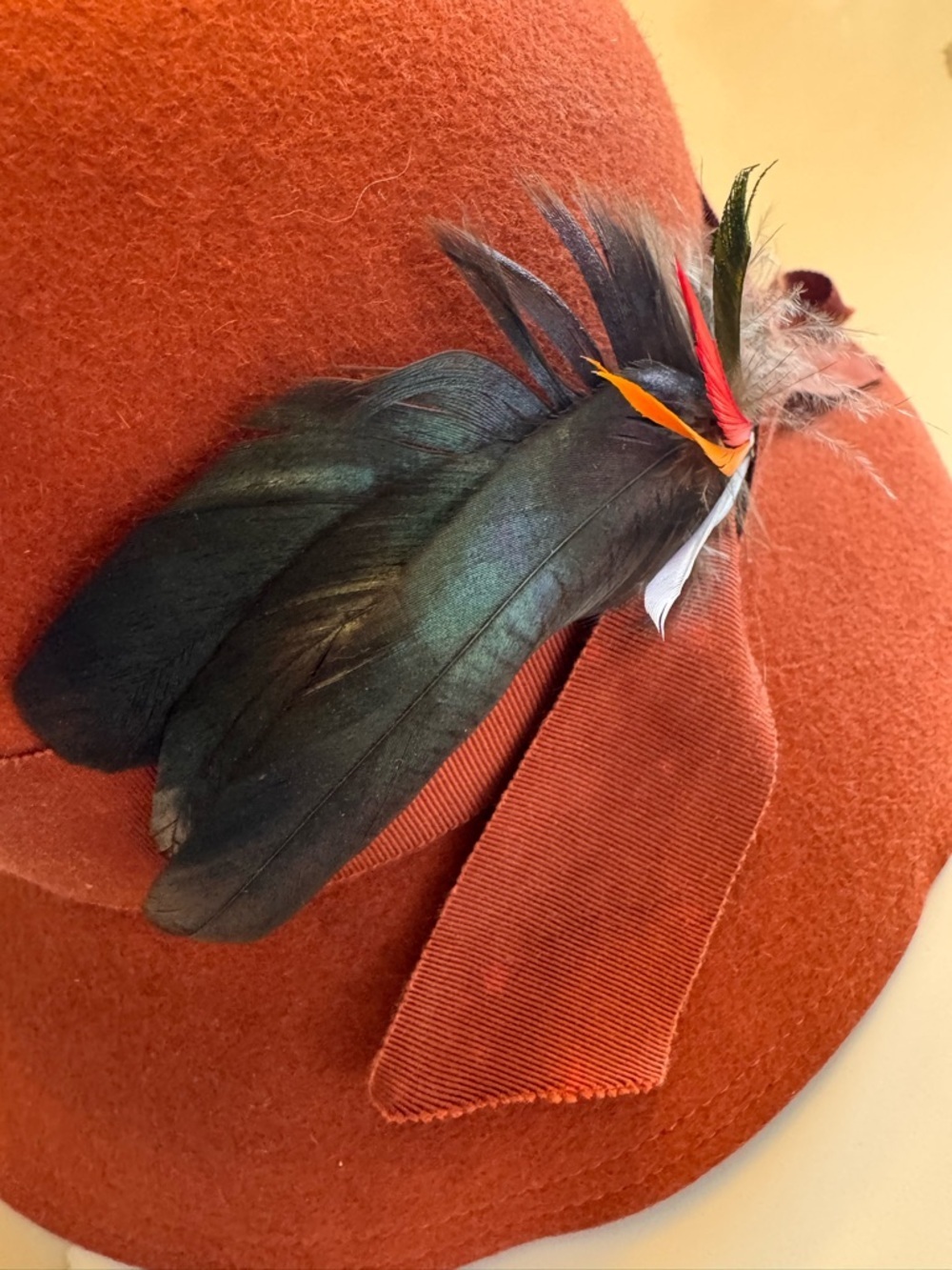Vintage Style Wool-Feel Cloche Hat Rust Feather Detail - AS IS - Picture 5 of 12